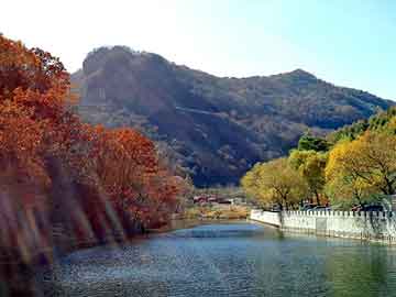 澳门二四六天天彩图库，不死僵神变异